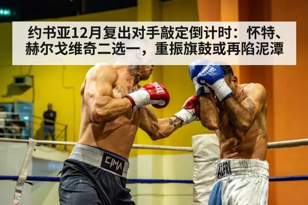 heavyweight boxing match
